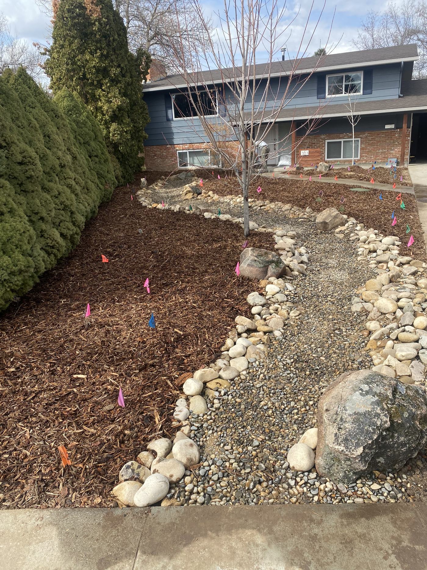A dry creek bed of river cobble winding through a fresh mulch bed.