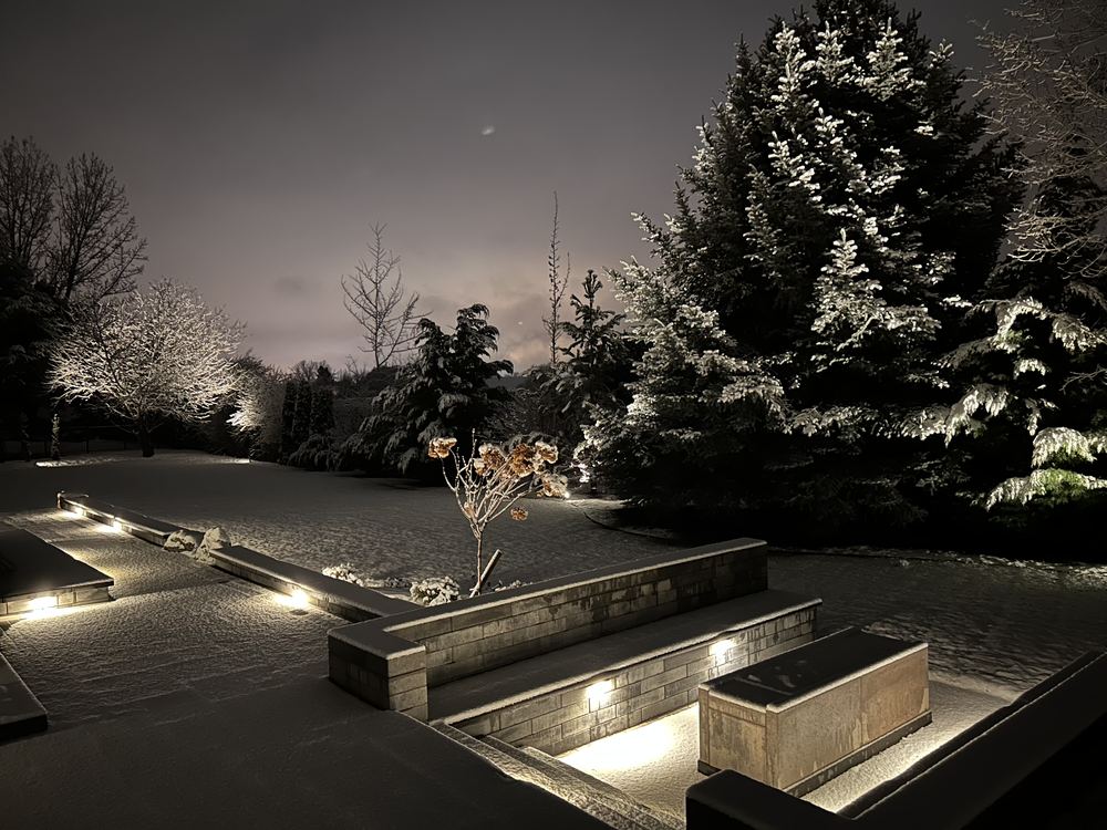 Mature trees and evergreens uplit at night against a dark sky.